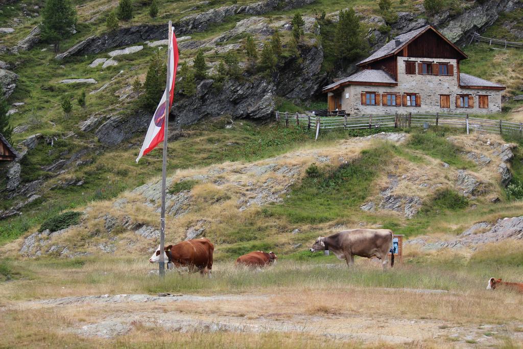 الشقق الفندقية مارتيلوفي  Alpenrose المظهر الخارجي الصورة