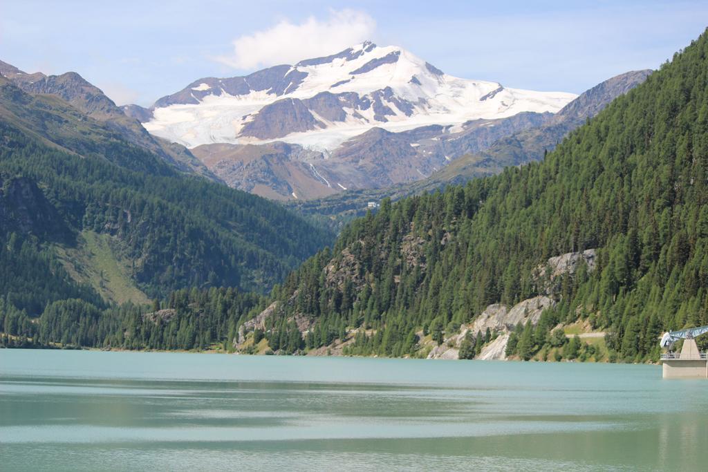 الشقق الفندقية مارتيلوفي  Alpenrose المظهر الخارجي الصورة