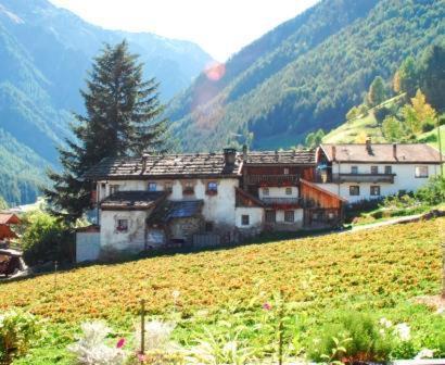 الشقق الفندقية مارتيلوفي  Alpenrose المظهر الخارجي الصورة