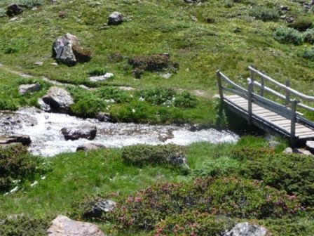 الشقق الفندقية مارتيلوفي  Alpenrose المظهر الخارجي الصورة