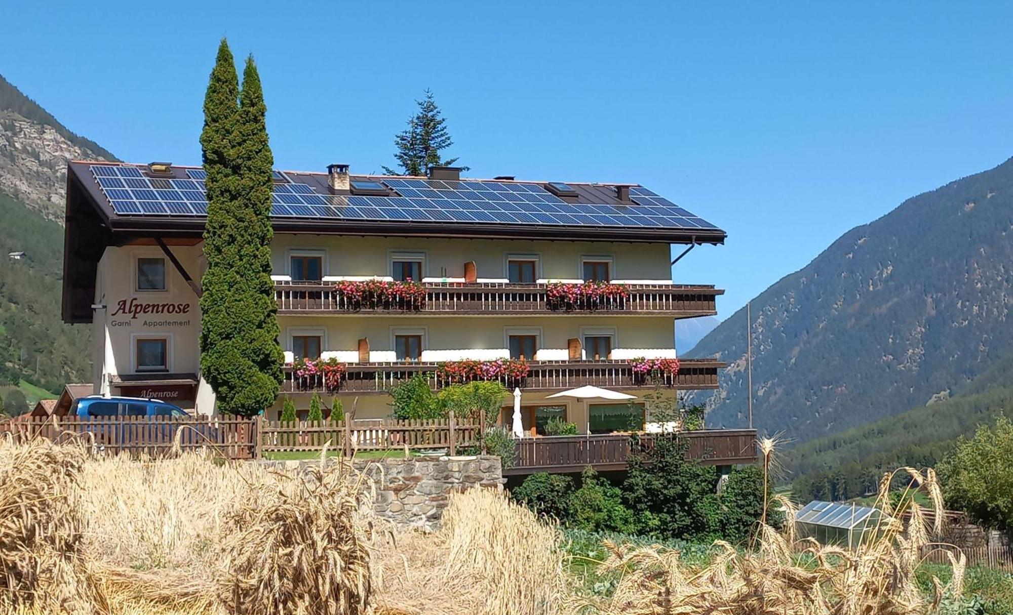 الشقق الفندقية مارتيلوفي  Alpenrose المظهر الخارجي الصورة
