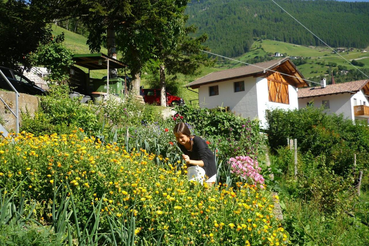 الشقق الفندقية مارتيلوفي  Alpenrose المظهر الخارجي الصورة